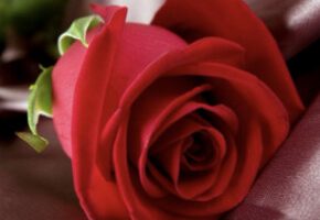 telegram上海修车群,上海修车吹水群