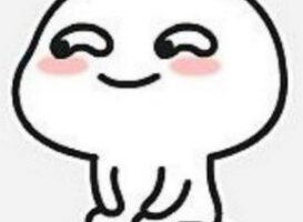 大聪明破解软件