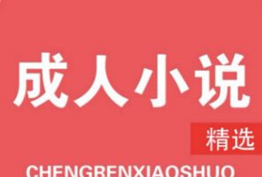 成人小说