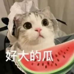 telegram聊天群，猫猫吃瓜黑料