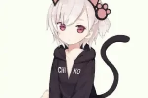 telegram群组搜索网站,无码内射