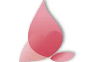 电报修车群，广州修车桃花污