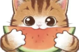 telegram交流群,武汉修车群