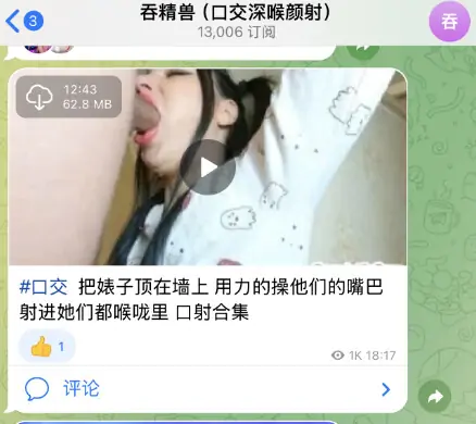 TG成人群，整理几个飞机成人群！