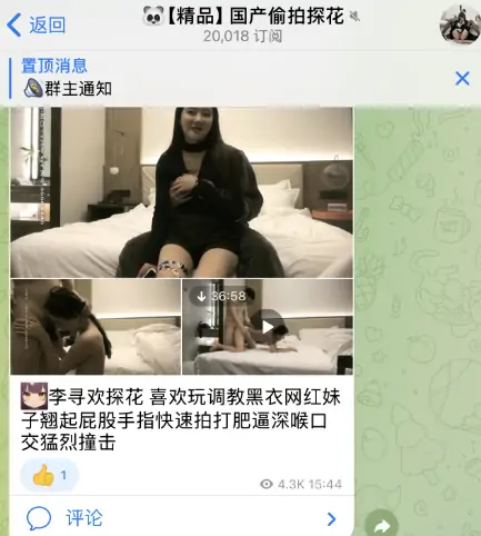 电报群大全，tg福利成人群