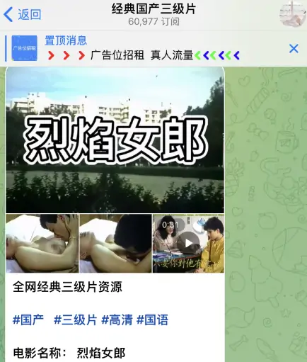 tg福利群，推荐几个优秀的飞机福利群！