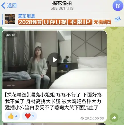 telegram福利群，分享优秀的电报福利群！