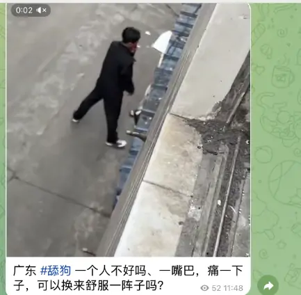 TG吃瓜群，吃瓜学院