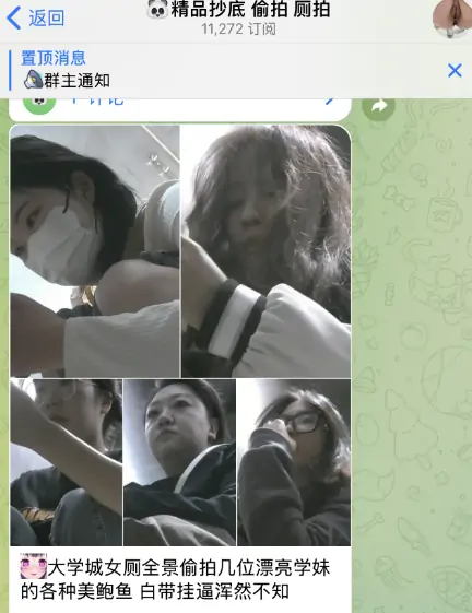 电报福利群，飞机福利群