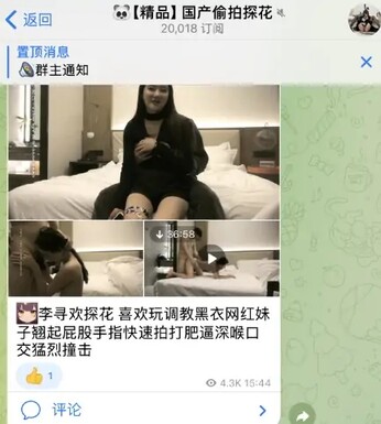 电报开车群，推荐几个优秀的telegram开车群组