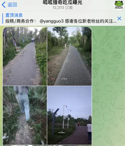tg吃瓜群，呱呱猎奇吃瓜曝光