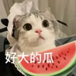 telegram黑料群，猫猫吃瓜黑料爆料