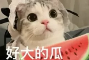 telegram黑料群，猫猫吃瓜黑料爆料