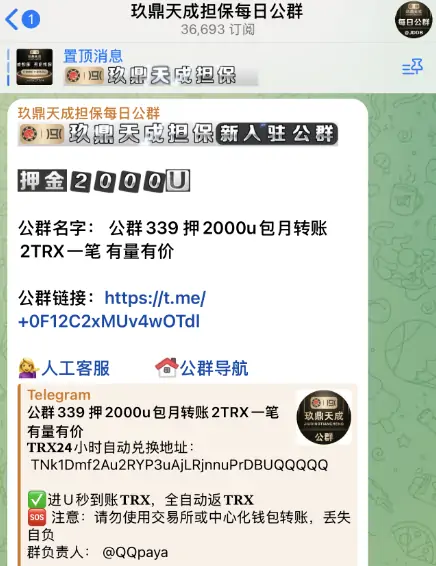 飞机担保群，玖鼎天成担保每日公群