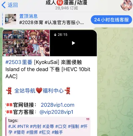 电报动漫群，成人动漫漫画