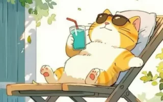 telegram开车群,小猫的赏片频道