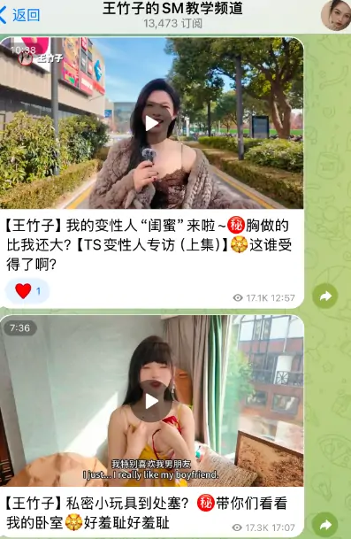 telegram色情频道，王竹子的SM教学频道