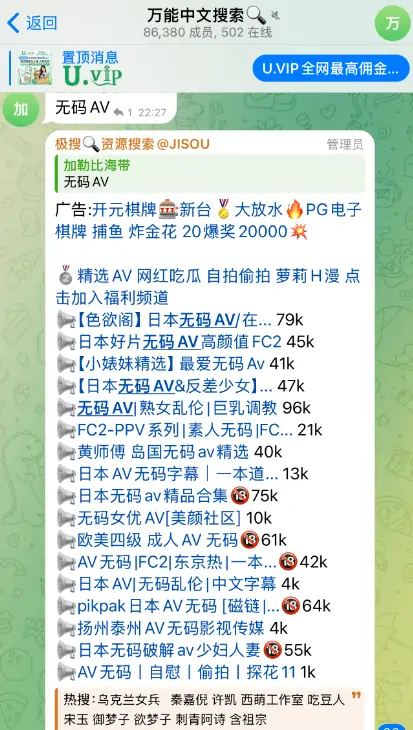 telegram搜索群，万能中文搜索群